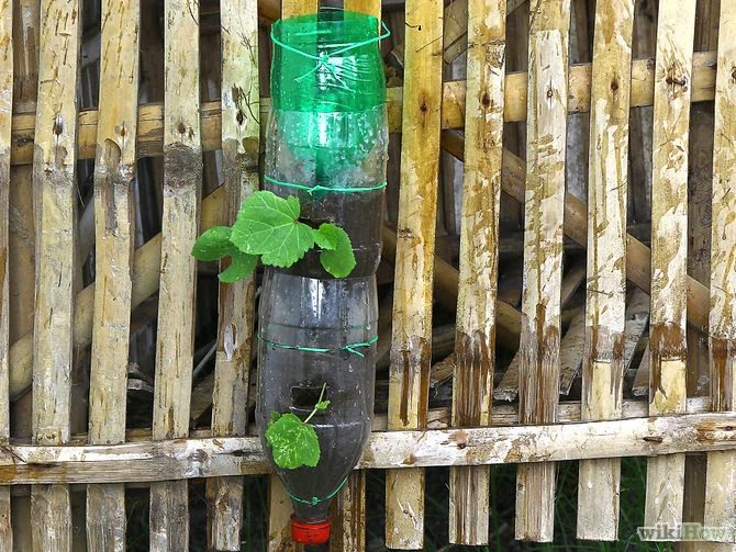 Involve your kids in your gardening this year, no matter how old they are. Here are 25 excellent options for gardening with kids, from toddlers to teenagers. 25 options for Gardeni
