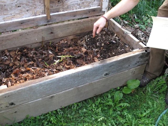 Involve your kids in your gardening this year, no matter how old they are. Here are 25 excellent options for gardening with kids, from toddlers to teenagers. 25 options for Gardeni