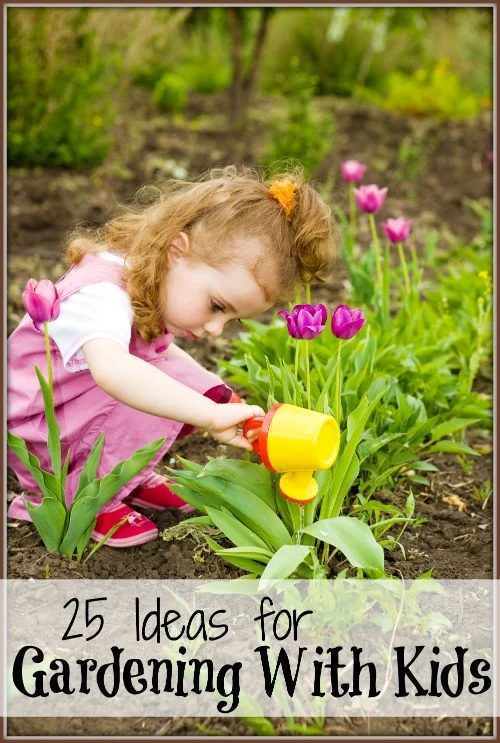 Involve your kids in your gardening this year, no matter how old they are. Here are 25 excellent options for gardening with kids, from toddlers to teenagers. 25 options for Gardeni