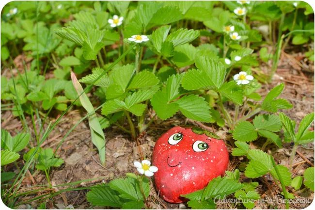 Involve your kids in your gardening this year, no matter how old they are. Here are 25 excellent options for gardening with kids, from toddlers to teenagers. 25 options for Gardeni