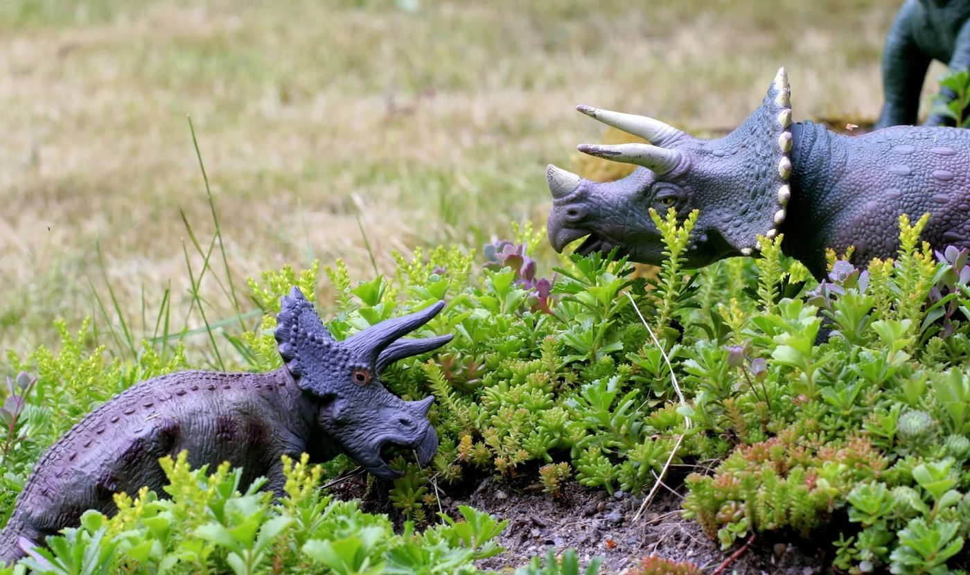 Involve your kids in your gardening this year, no matter how old they are. Here are 25 excellent options for gardening with kids, from toddlers to teenagers. 25 options for Gardeni