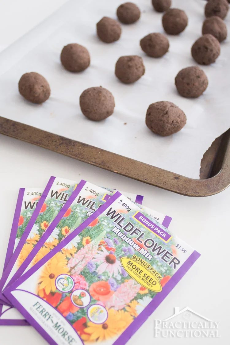 Involve your kids in your gardening this year, no matter how old they are. Here are 25 excellent options for gardening with kids, from toddlers to teenagers. 25 options for Gardeni