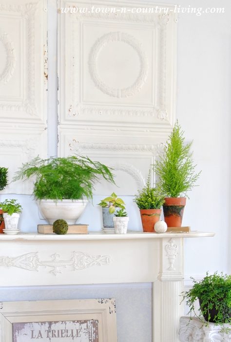 Botanic Mantel