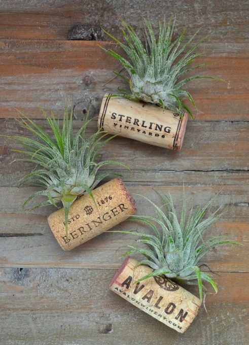 Do you save all of your wine corks? Here are 25 memorable wine cork Handmade options for you to try! 25 Wine Cork Handmade options via tipsaholic.com #wine #corks #handmade #projec