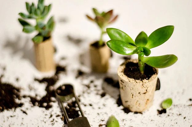 Do you save all of your wine corks? Here are 25 memorable wine cork Handmade options for you to try! 25 Wine Cork Handmade options via tipsaholic.com #wine #corks #handmade #projec