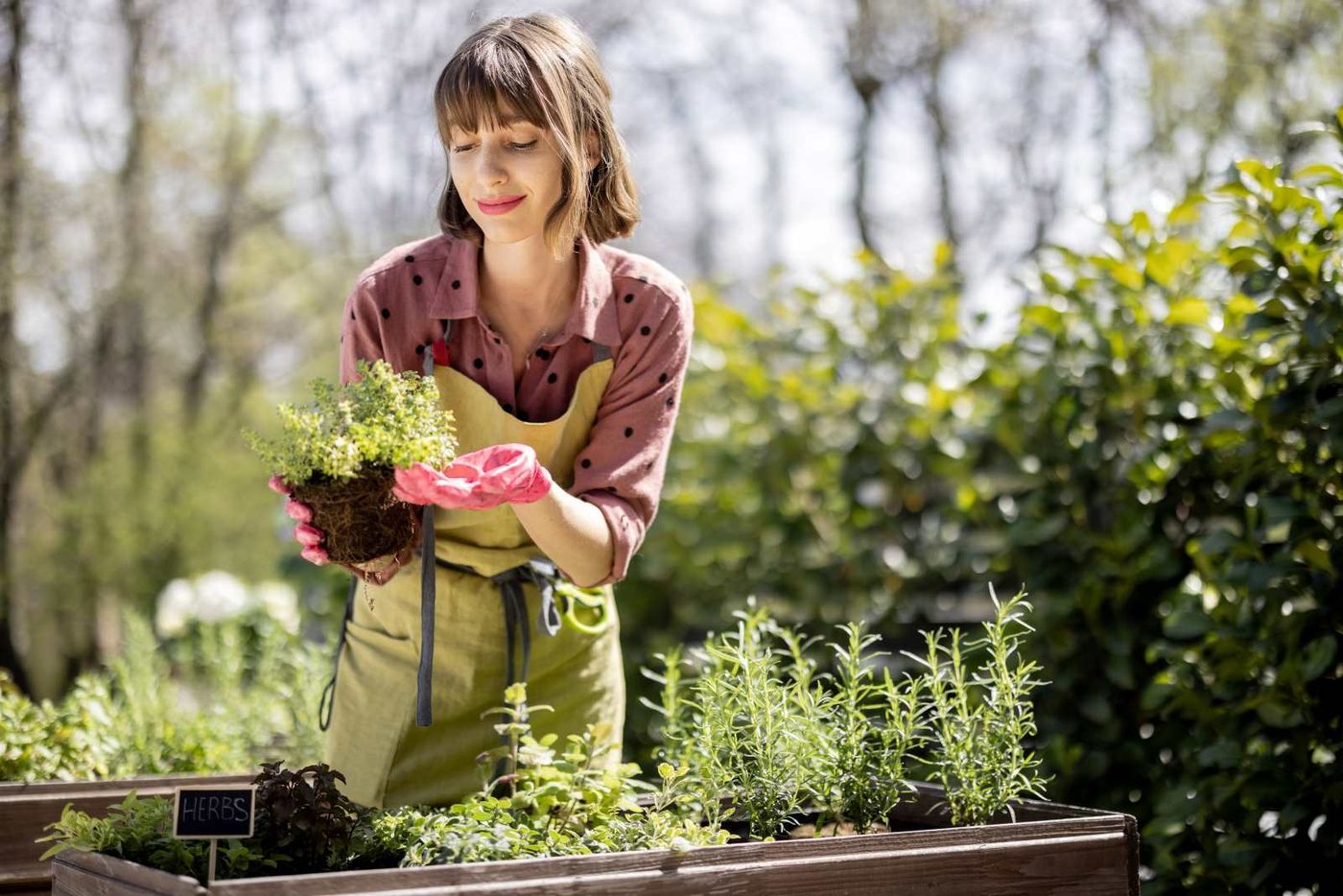 Lady Gardening