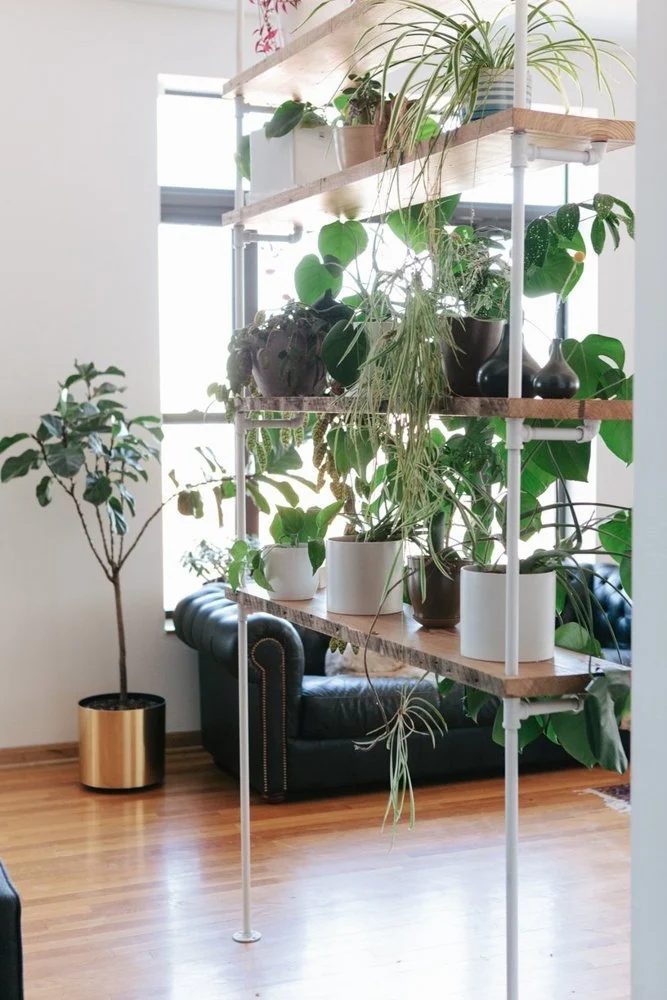plant shelf room divider2