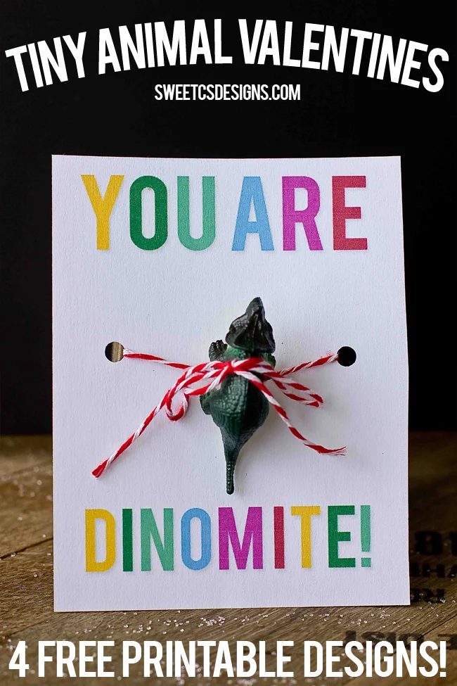 Sometimes there can be too much candy on Valentine's Day. Avoid too much sugar by gifting one of these 30 Clever Food-Free Valentines for Kids - tipsaholic, #valentines, #valentine
