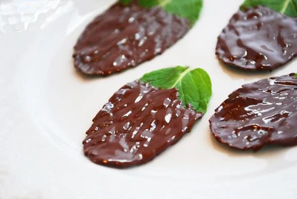 Have a lot of fresh mint to use up? Or maybe you're just in the mood for some minty recipes? Here are 30 fun fresh mint recipes, both savory and sweet! 30 Refreshingly Delicious Fr