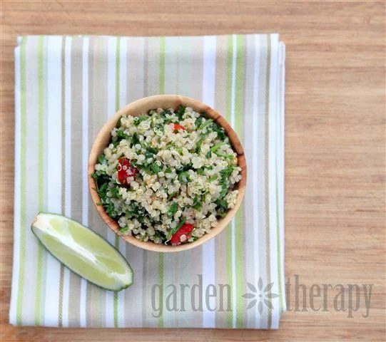 Have a lot of fresh mint to use up? Or maybe you're just in the mood for some minty recipes? Here are 30 fun fresh mint recipes, both savory and sweet! 30 Refreshingly Delicious Fr