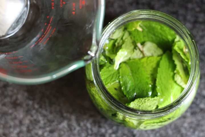 Have a lot of fresh mint to use up? Or maybe you're just in the mood for some minty recipes? Here are 30 fun fresh mint recipes, both savory and sweet! 30 Refreshingly Delicious Fr