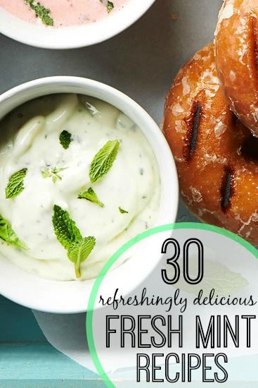 Have a lot of fresh mint to use up? Or maybe you're just in the mood for some minty recipes? Here are 30 fun fresh mint recipes, both savory and sweet! 30 Refreshingly Delicious Fr