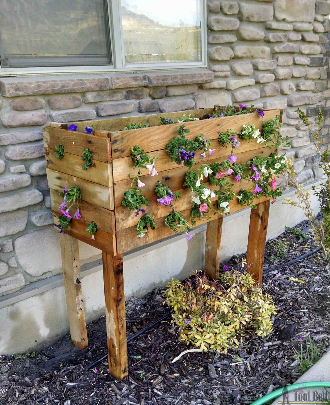 cascading-pallet-planter-flowers-her-toolbelt
