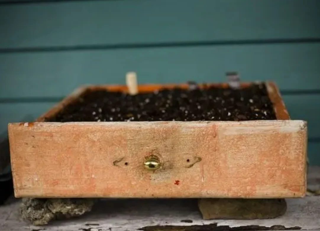 Organic Authority Drawer Herb Planter