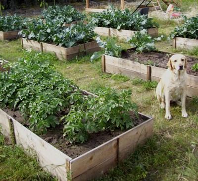 Both beginning and experienced gardeners love raised garden beds. Here are 30 cool options for raised garden beds, from the practical to the extraordinary. 30 Raised Garden Bed opt