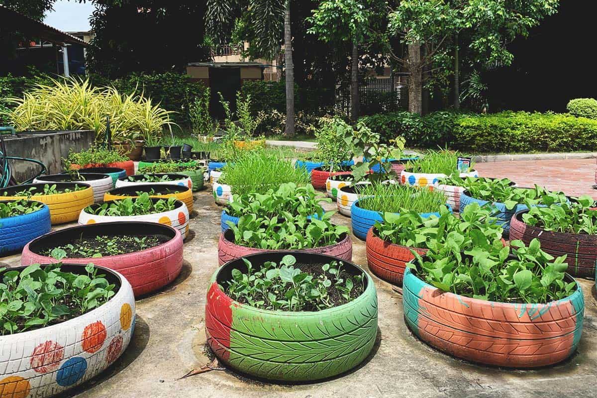 How To Start A Vegetable Garden Using Tires FI