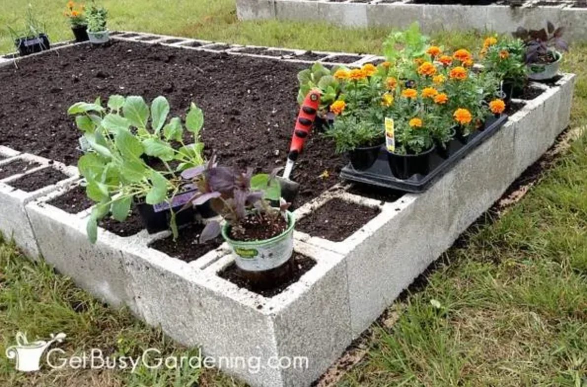 Cinder Block Raised Garden By Get Busy Gardening