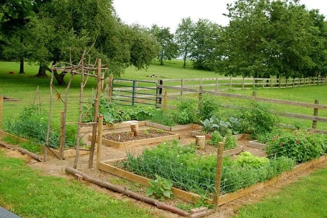10 Handmade Vegetable Garden options for Raised Garden Beds and Trellises