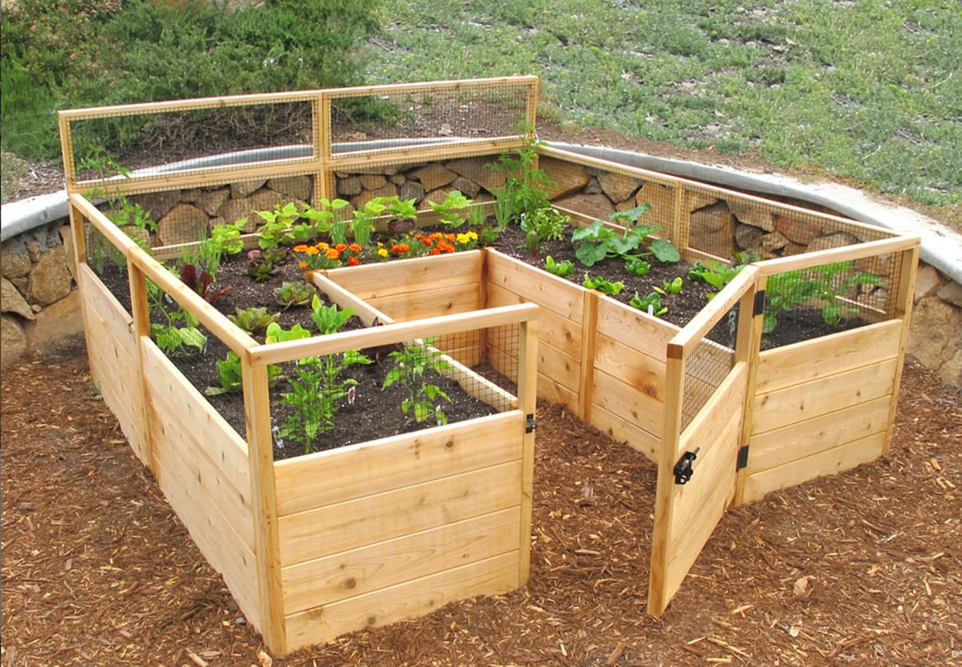 Raised Bed With Gate Earth straightforward