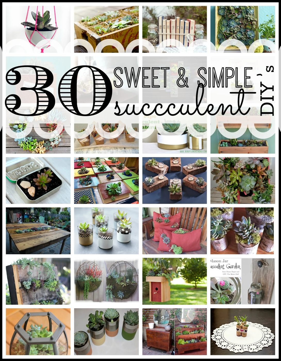 30 Sweet and direct Succulent Handmade's - Tipsaholic.com #gardening