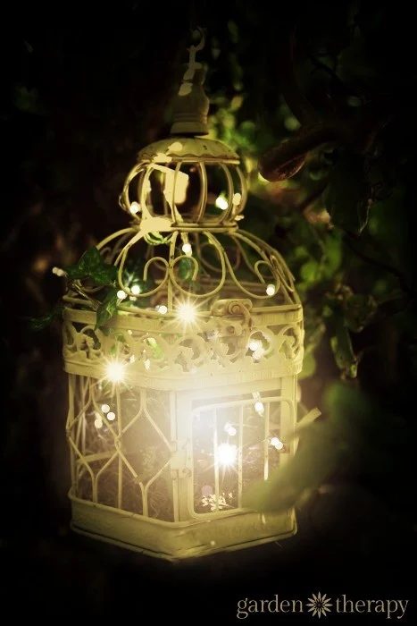 birdcage-outdoor-garden-light-with-warm-white-string-lights-a5-1440x0