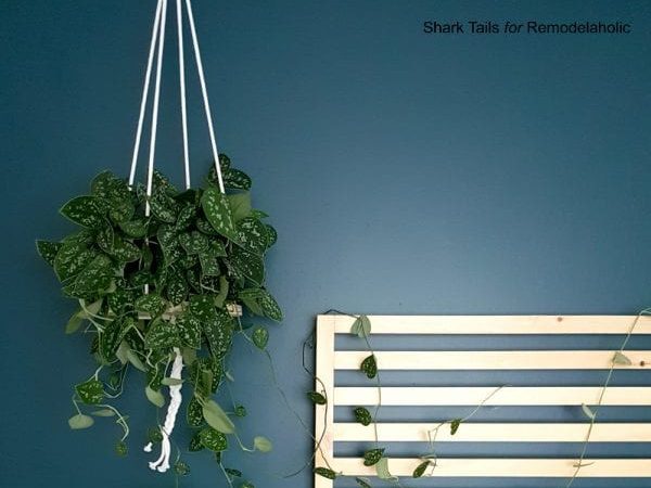 straightforward Hanging Planter Handmade By Shark Tails On Bekob
