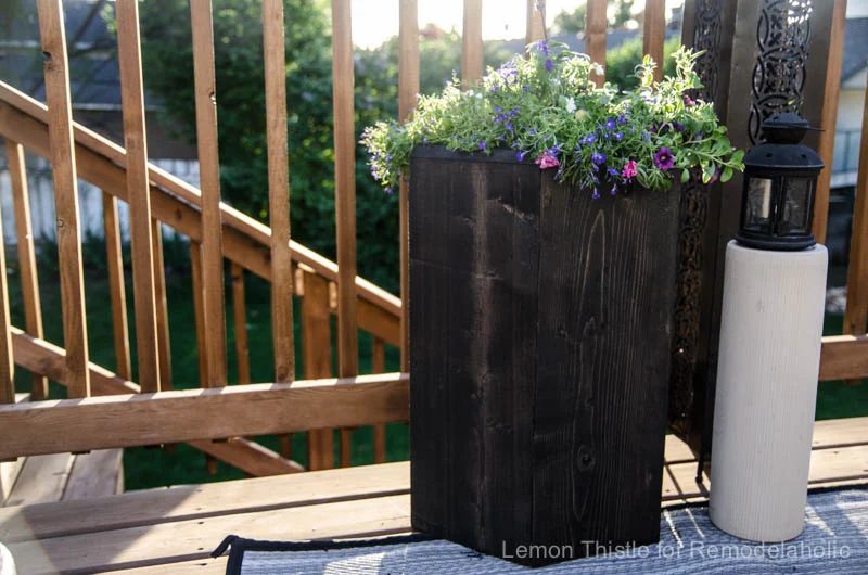 I love this patio hexagon planter made from a 2x8!
