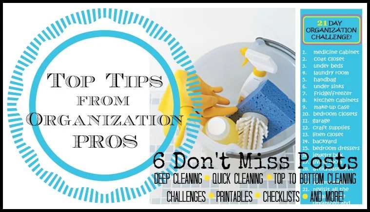 Top Cleaning Tips From Organization Pros Via Tipsaholic