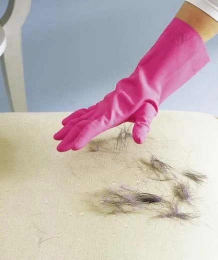 Glove Pet Hair Gal