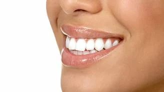 Teeth