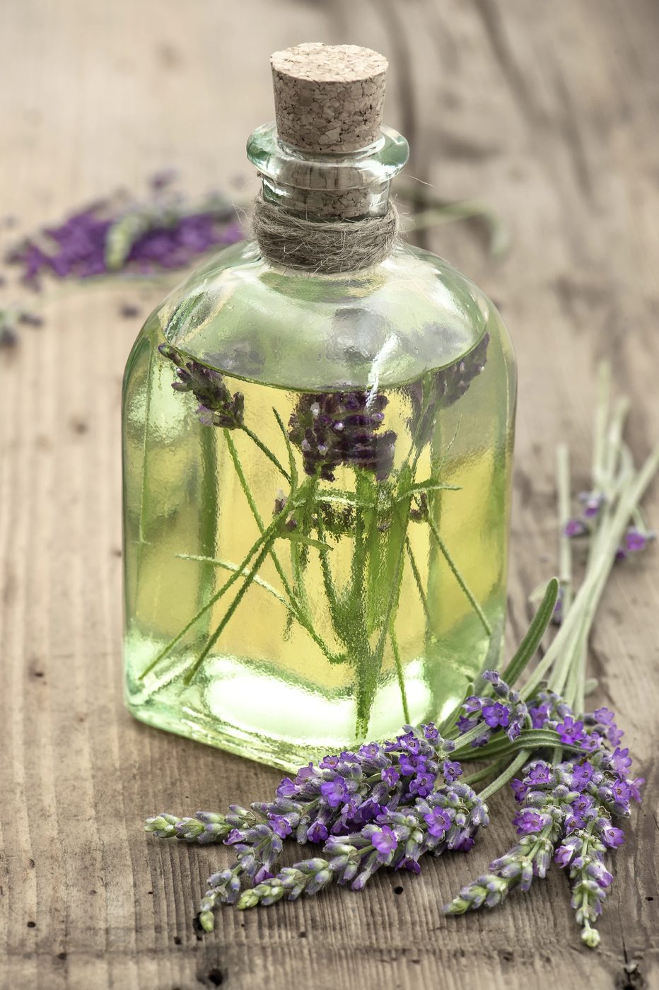bottle of lavender oil with fresh flowers