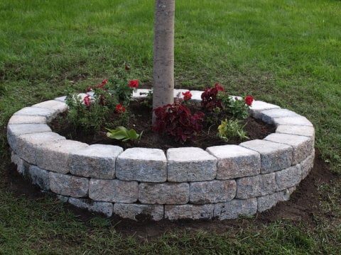 Increase your curb appeal with these landscaping Handmade projects! These 5 front yard landscaping options are well fitted for beginners and can be done in a weekend. tipsaholic.co