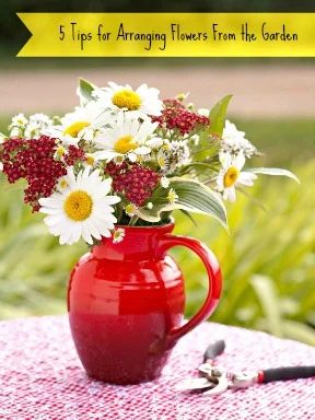 5 Tips for Arranging Flowers from the Garden @Tipsaholic