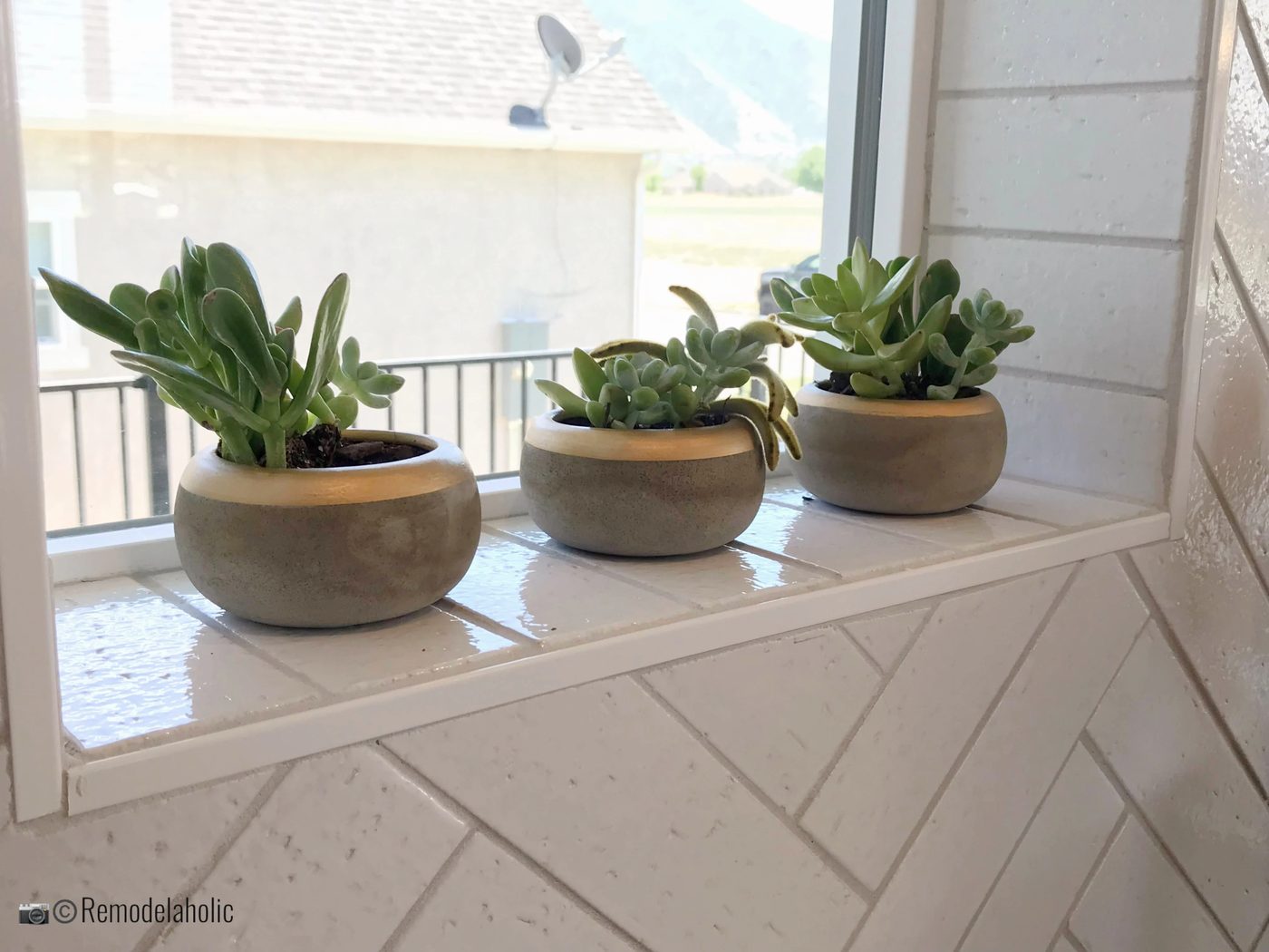 Set of three succulents in pots in the window, UVPH 2018 Home 8 Greentech Construction, Design Hintz Interior Desi, Photo by Bekob