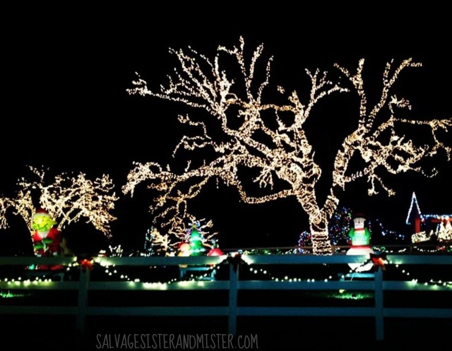 Christmas Lights House 1 WM