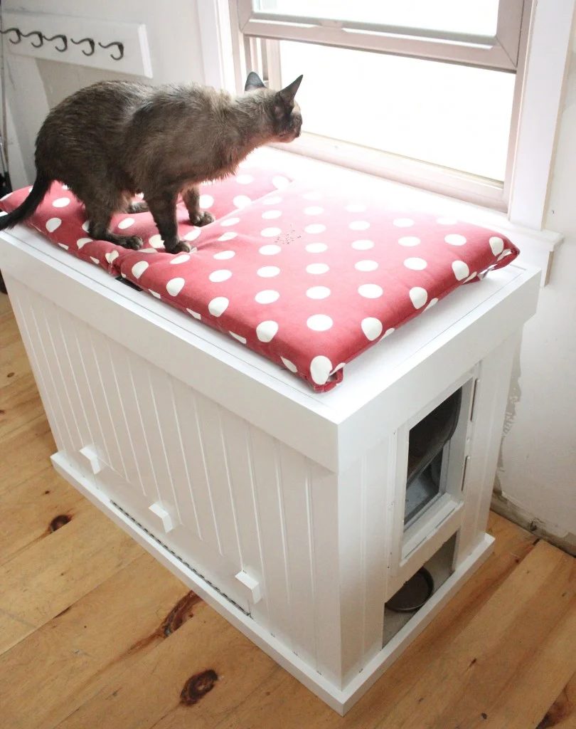 There’s one aspect of cat ownership that isn't much fun: finding a place for the litter box. 6 straightforward Ways to Hide Your Cat Litter Box via tipsaholic.com #cat #litterbox #