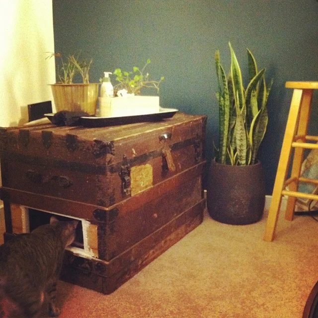 There’s one aspect of cat ownership that isn't much fun: finding a place for the litter box. 6 straightforward Ways to Hide Your Cat Litter Box via tipsaholic.com #cat #litterbox #