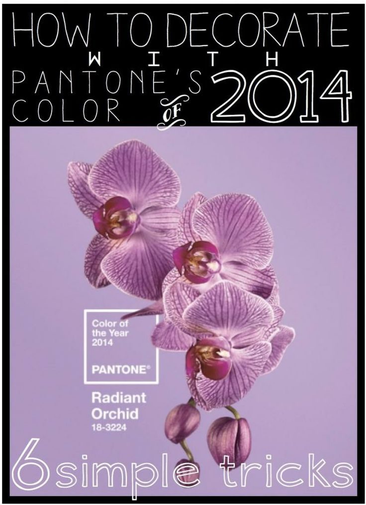 4 Pantone Color of the Year