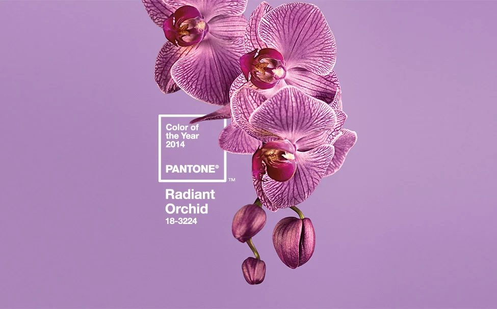 Decorating with the 2014 Pantone Color of the Year: 6 direct Tricks