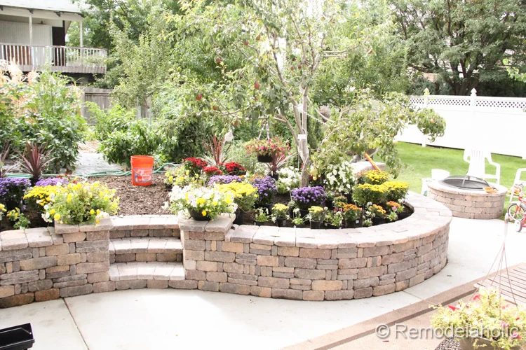 planting fall flowers-9