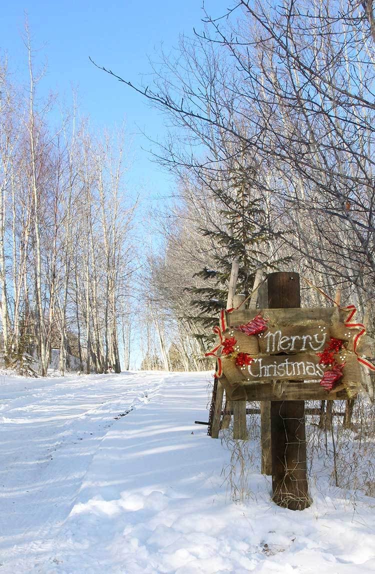 handmade-burlap-pallet-christmas-holiday-sign-fresh-crush
