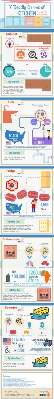7 Deadly Germs of the Kitchen Infographic