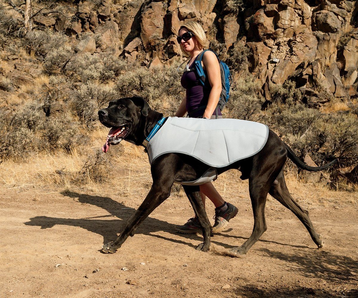 Have a cat or dog? There are so many things you could buy them, but we are sharing our favorites. 8 Best Products for Dogs and Cats via tipsaholic.com #pets #cats #dogs