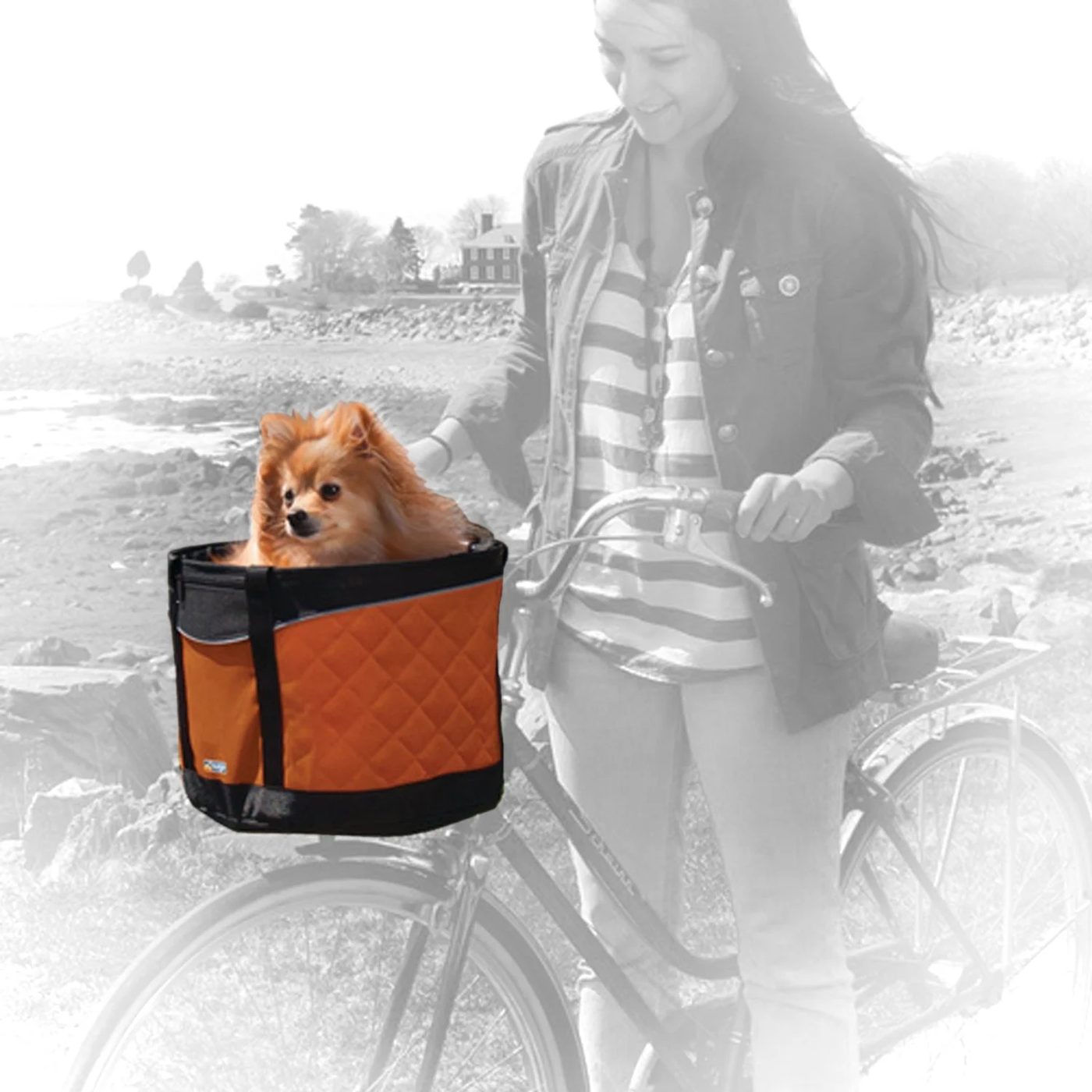 Have a cat or dog? There are so many things you could buy them, but we are sharing our favorites. 8 Best Products for Dogs and Cats via tipsaholic.com #pets #cats #dogs