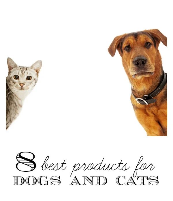 Have a cat or dog? There are so many things you could buy them, but we are sharing our favorites. 8 Best Products for Dogs and Cats via tipsaholic.com #pets #cats #dogs