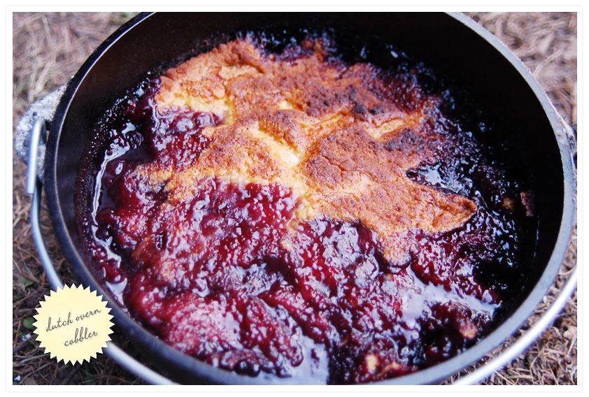 tipsaholic-dutch-oven-cobbler-wild-ink