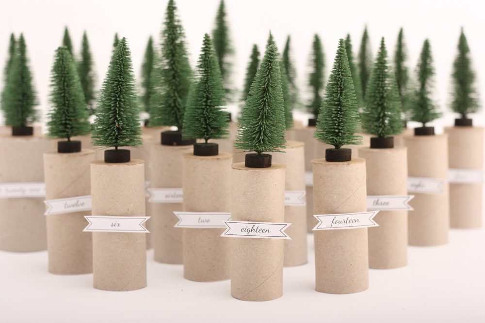 Rolltrees2