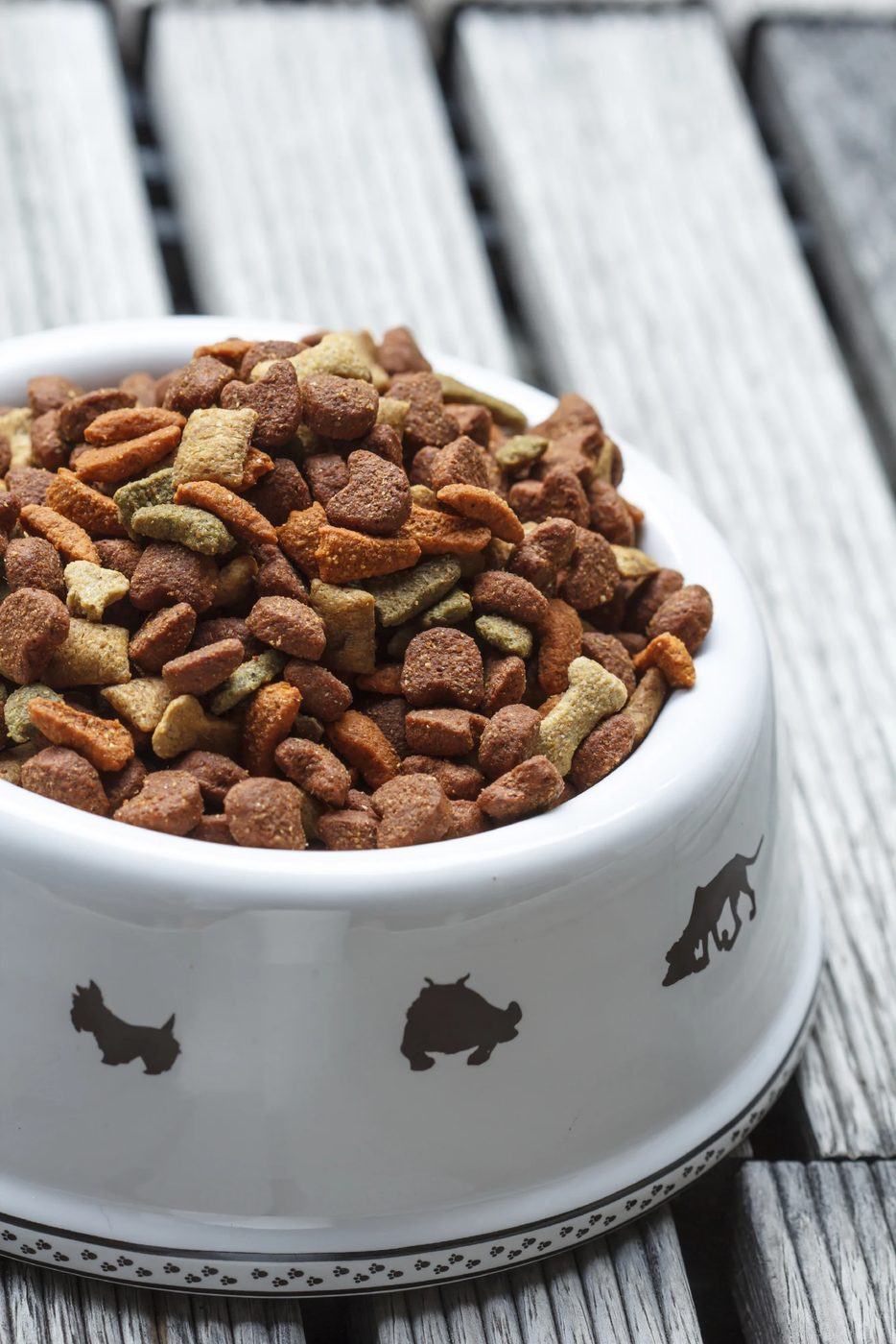9 options for Organizing Your Pet Supplies
