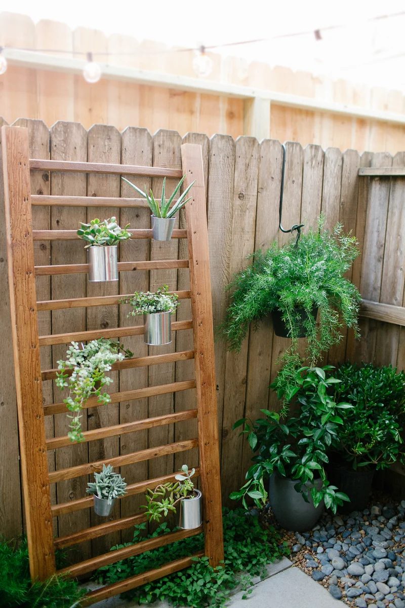 Wooden Ladder For Plants, Sugar And Cloth