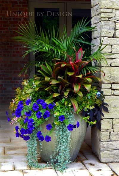 Container gardening is well fitted for homes with small or nonexistent backyards, cold climates, and renters. Here are 9 tips for container gardening! 9 Tips for Container Gardenin